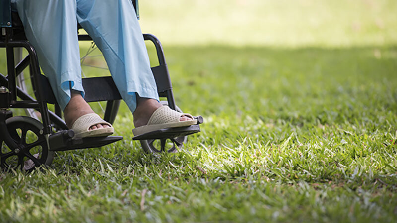 Anche agli Istituti Polesani è arrivata la primavera