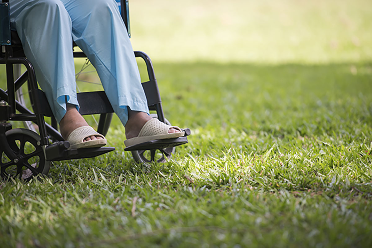 Anche agli Istituti Polesani è arrivata la primavera